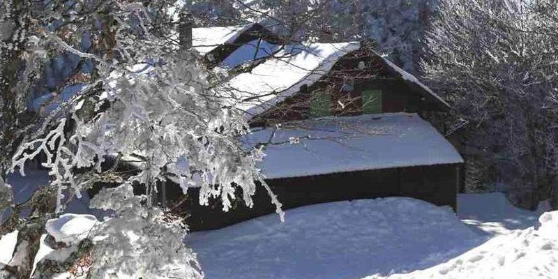 chalet du roedelen